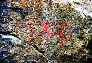 Stein Valley owl rock painting