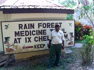 Belize rainforest medicine trail
