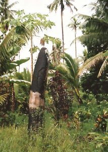 monolith in Wasavula, Fiji