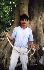Ranger holds banded krate snake