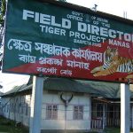 Tiger project office in Manas, India